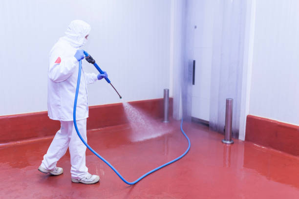 Professional Pressure Washing Services in Alamo, CA